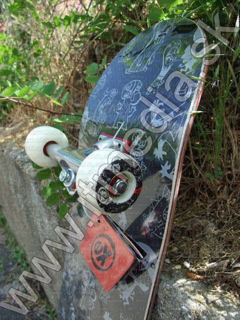 Image of Extreme SkateBoard Frenzy (IT4614)